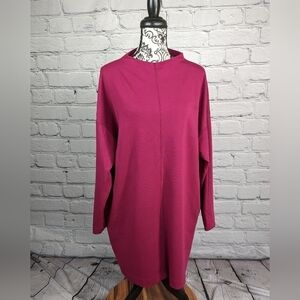 Prologue Women's Long Sleeve Stretch Knit Popover Size XXL dress pockets B20